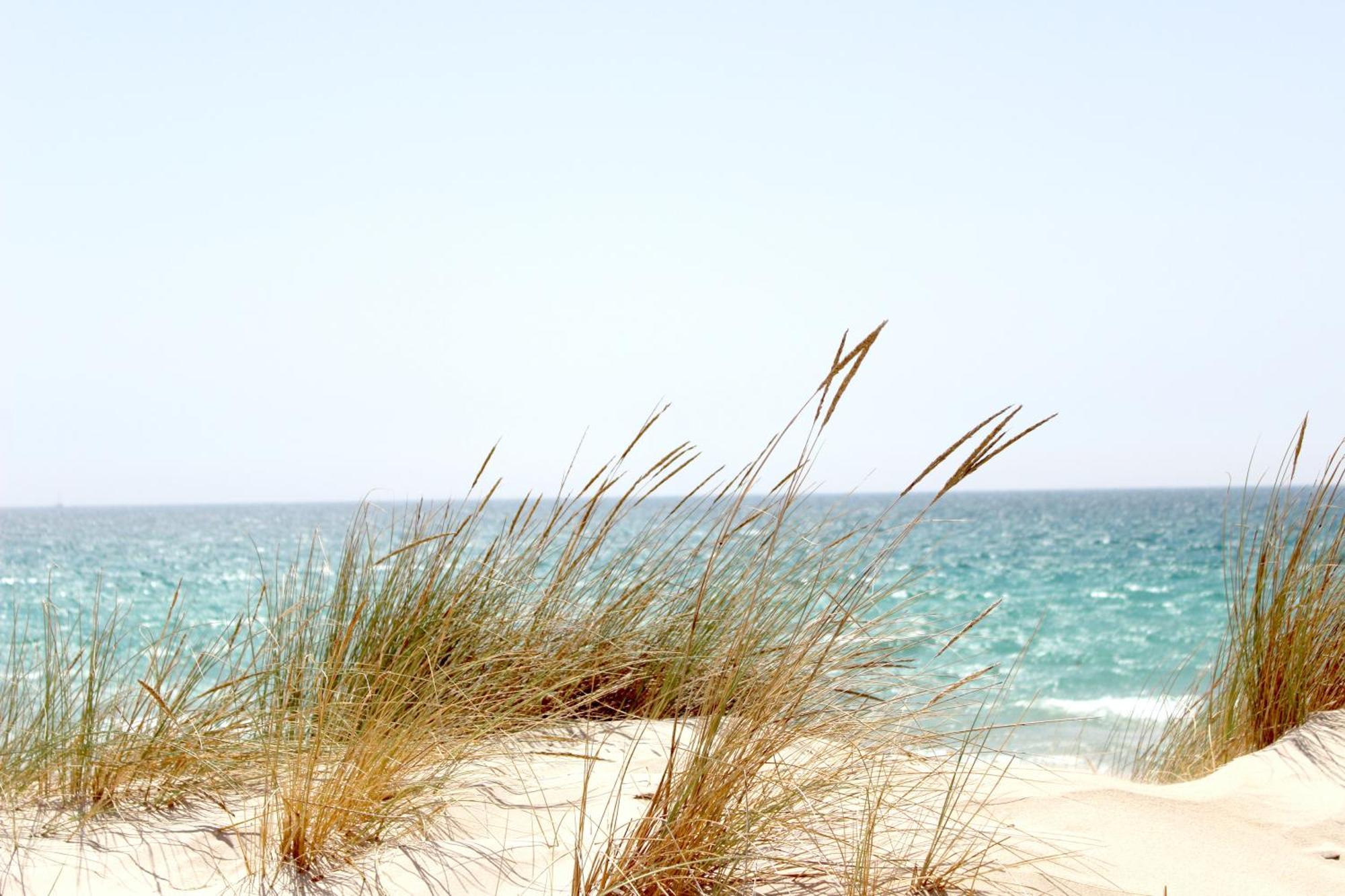 Ocean Sands Beach Inn (Adults Only) St. Augustine Luaran gambar