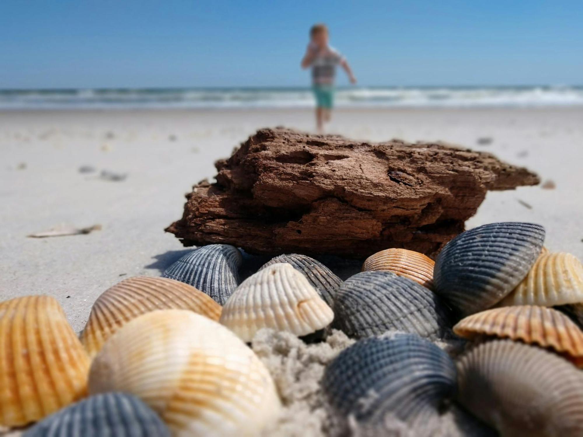 Ocean Sands Beach Inn (Adults Only) St. Augustine Luaran gambar
